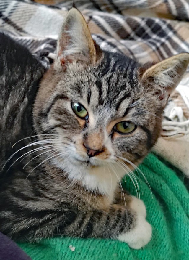 Вторник. Котэ. Пора