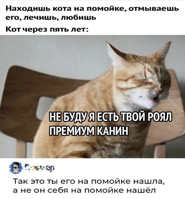 Картинки и мемы для настроения 27.01.2022