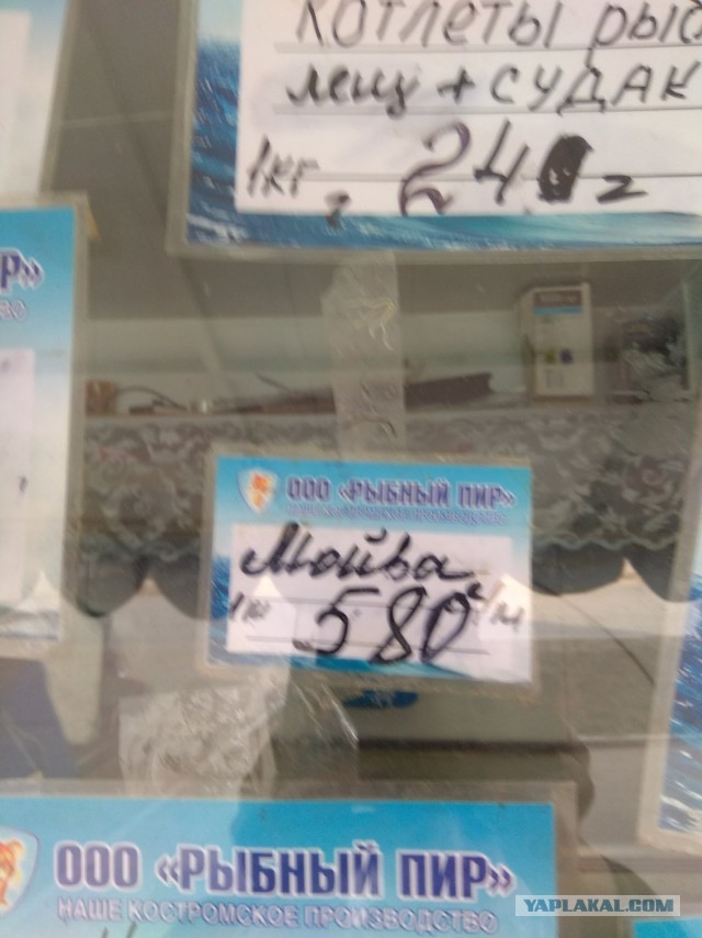 Рыба дороже пива!