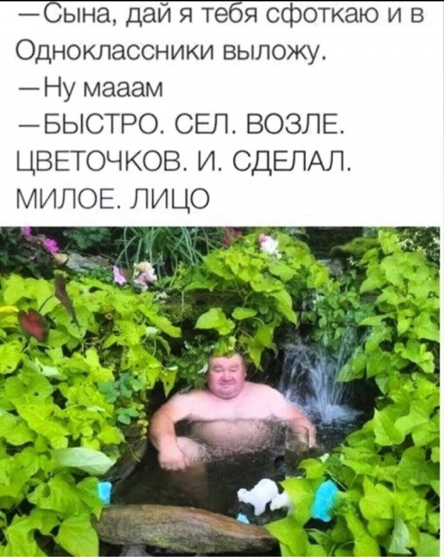 Так себе картинки 17.07.22