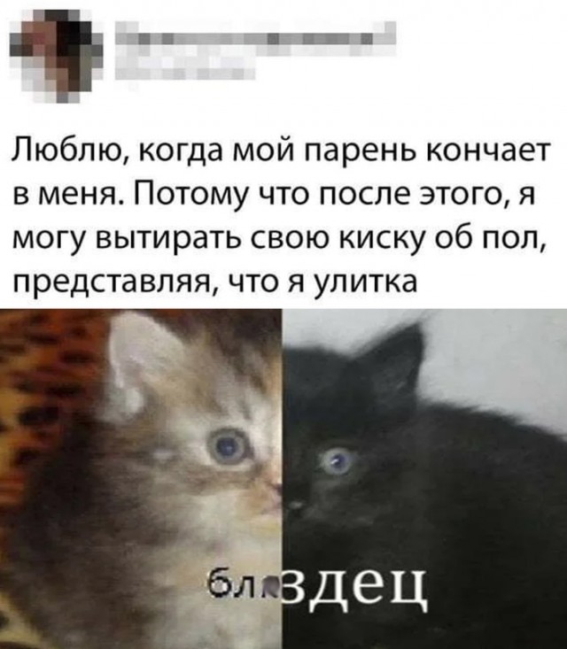Весёлый полтишок 20.10.22
