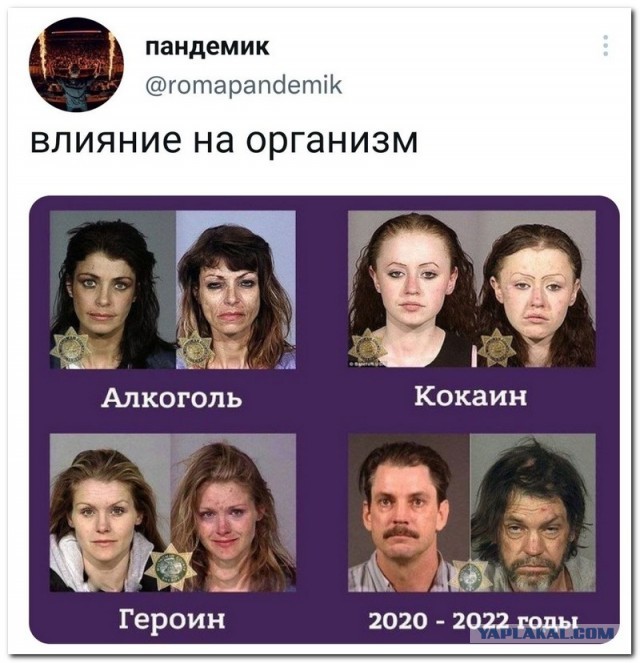 Забавные комментарии из социальных сетей (25.10.22)