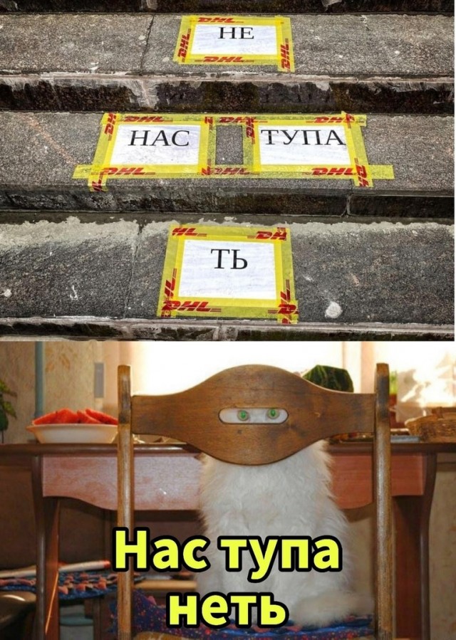 Так себе картинки 25.12.22