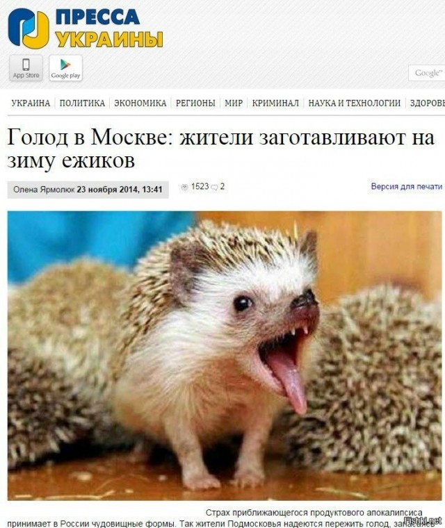 "Я себя не на помойке нашла" и нищеброд