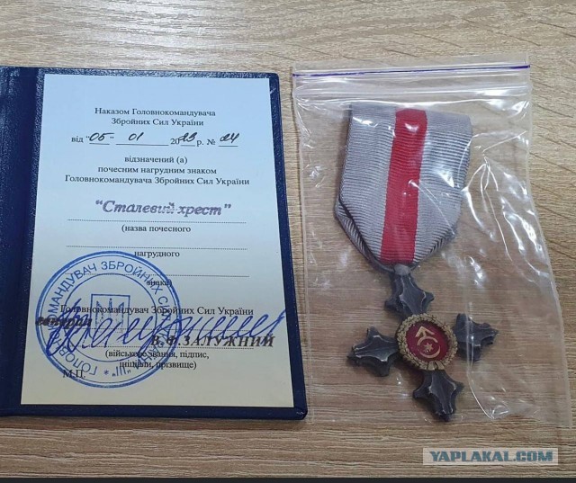 Зеленский присвоил горно-штурмовой бригаде ВСУ наименование "Эдельвейс"