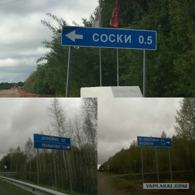 Путевые фотоприколы