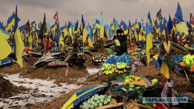 В Кремле заявили о попытке «нанесения удара беспилотными летательными аппаратами» по кремлевской резиденции президента