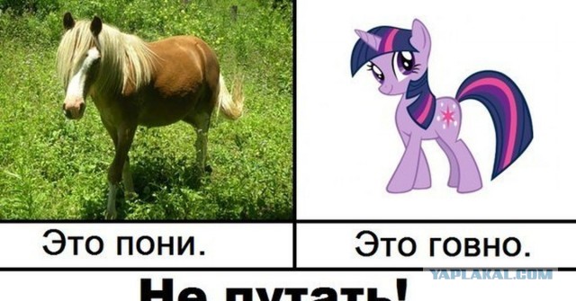 Не ПТУ, а колледж. Почему уходят после 9 класса?