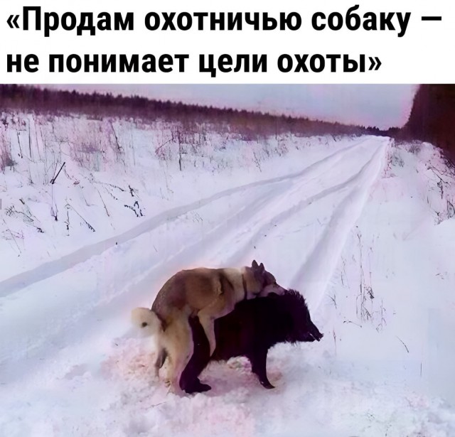 Так себе картинки 18.09.23