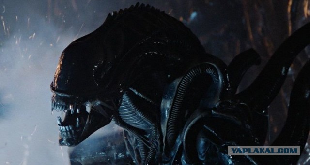 Мутант из Кыргызстана