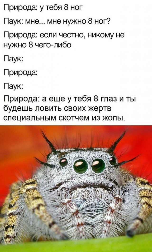 Как обещал - зимние баяны