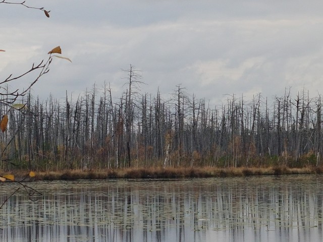 Осень на озёрах 2