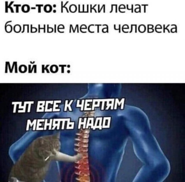 Нуштош 17.10.2024