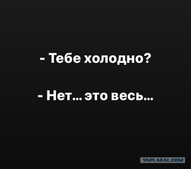 Деградируем и подпеваем - v. 2,0