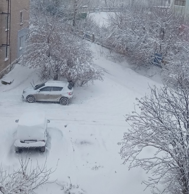 Жизнь домашнего приюта для котеек 518