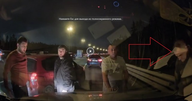 Обочечники-мигранты устанавливают свои порядки