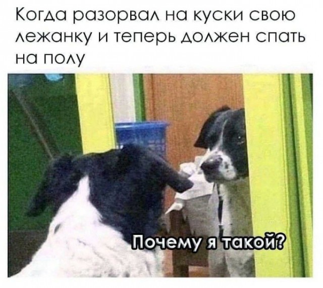 Всего понемногу. От 04.12.2024