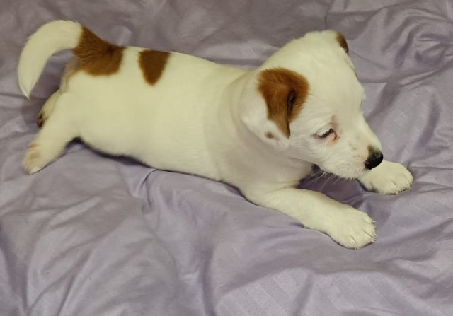 Не дождался четверга - зацените спиногрызов