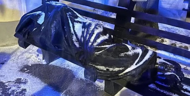 В Польше женщина вызвала скорую памятнику.