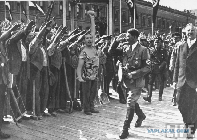 Мой друг нашел картошку!