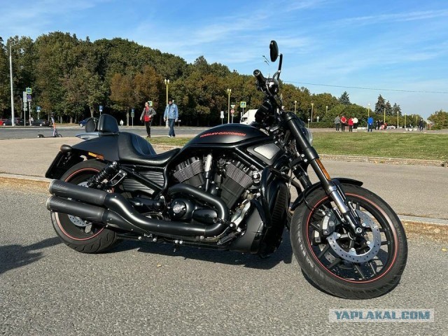 Экстрасенсы по вызову глава 23 (археологи)