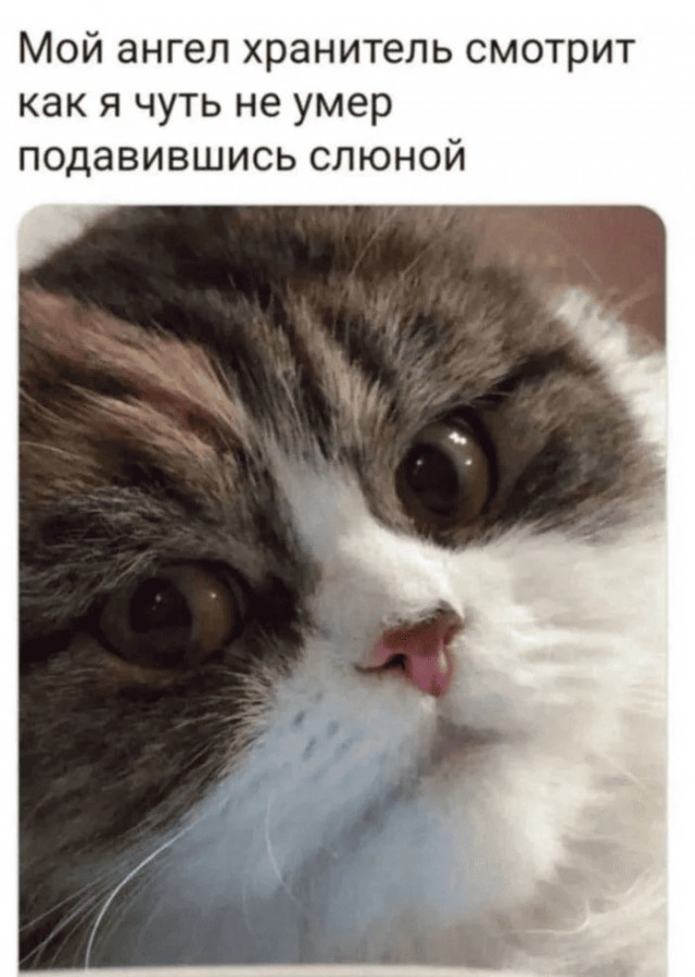 Картинки разные