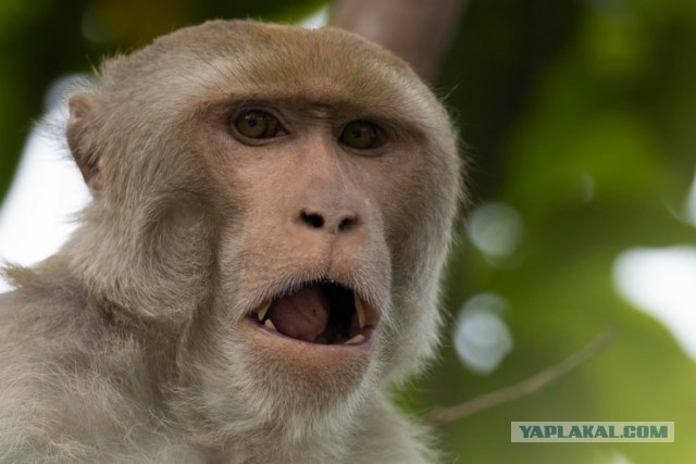 Где-то в Дагестане