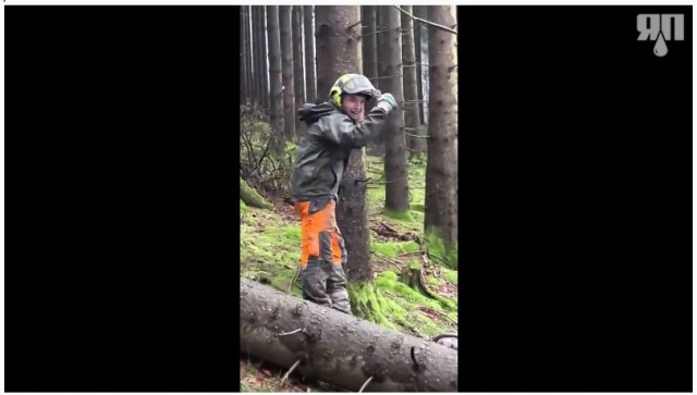 Залипательные видео работы профессионалов