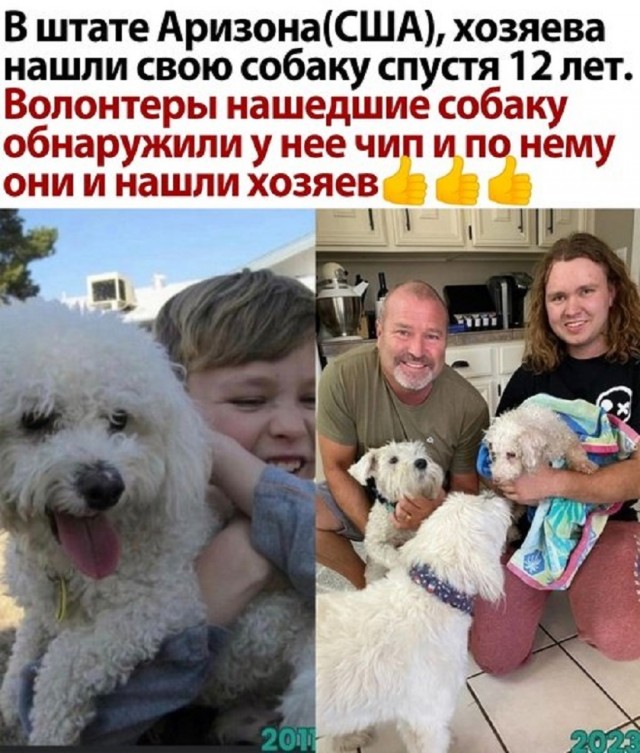 Так себе картинки 18.03.26