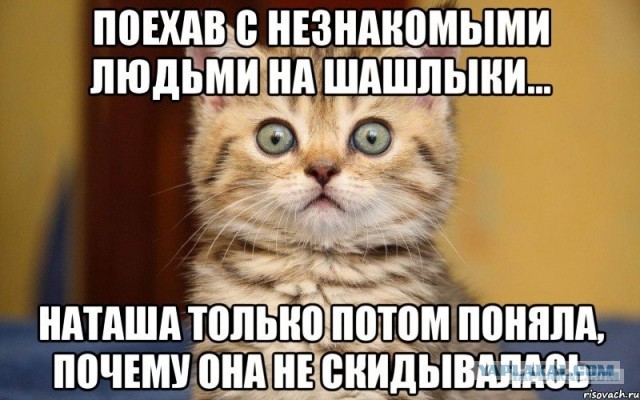 Презентация на тему "Почему меня нужно брать на шашлыки"