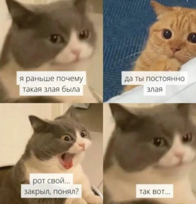 Тихо! Я работаю