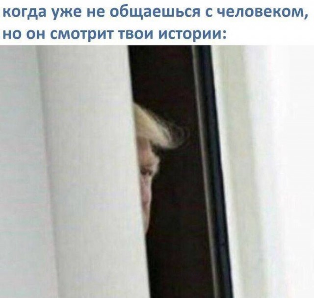 Картинки для деградации 238 (разной степени свежести)