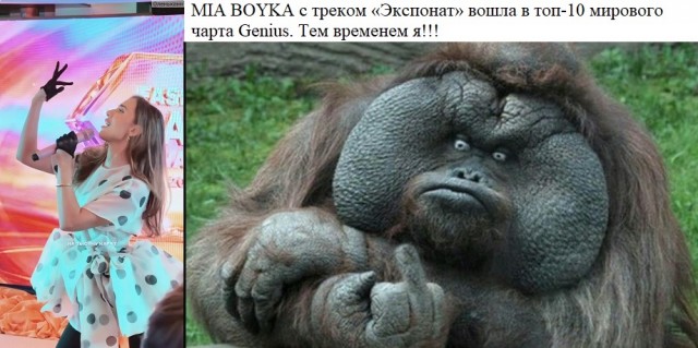 Веселое настроение в картинках 31.07.26