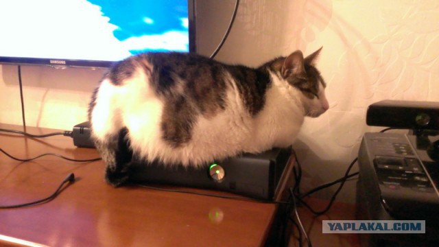Телевизионная реклама Xbox One