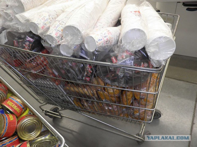 И свет во тьме светит, и тьма не объяла его