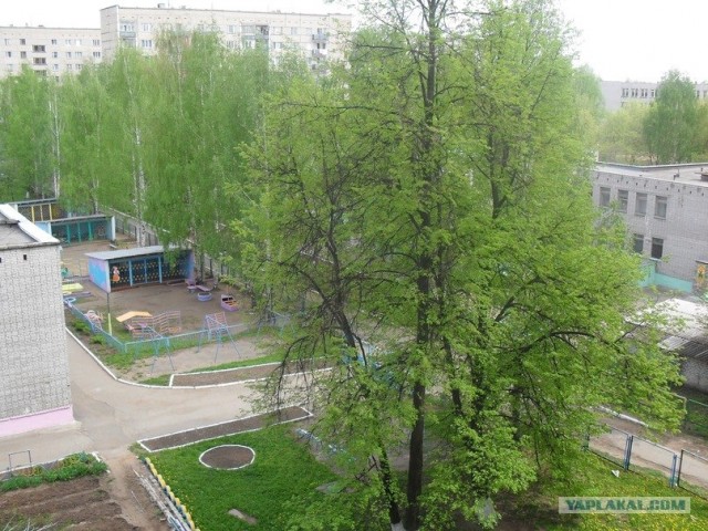 Времена года в фотографиях