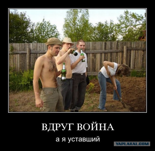 Картинки с инета.