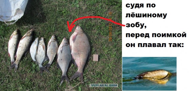 Рыбалка близ Елабуги