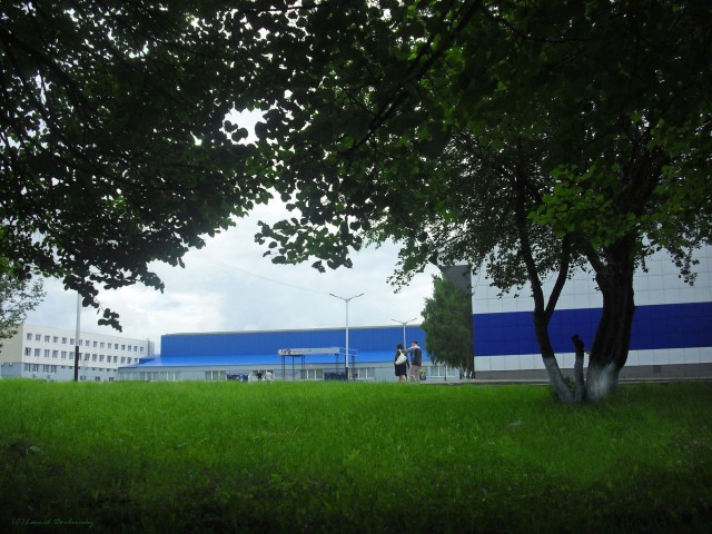 В черном городе