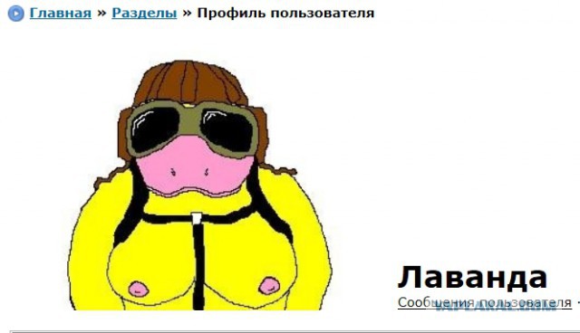 Ищем жениха для Лаванды