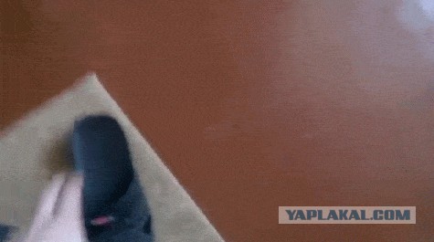 "Тебе звонят! Быстро ответь!"