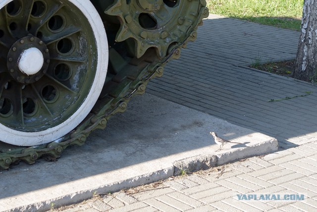 Использование военной техники в мирное время
