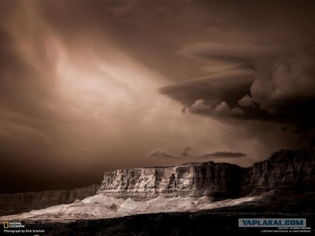 Лучшие фотографии от National Geographic за ноябрь