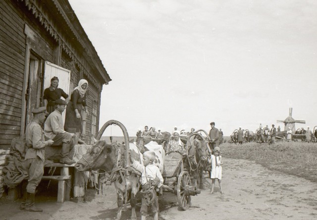 Наша история. Колхоз "Путь Ленина" 1946 год