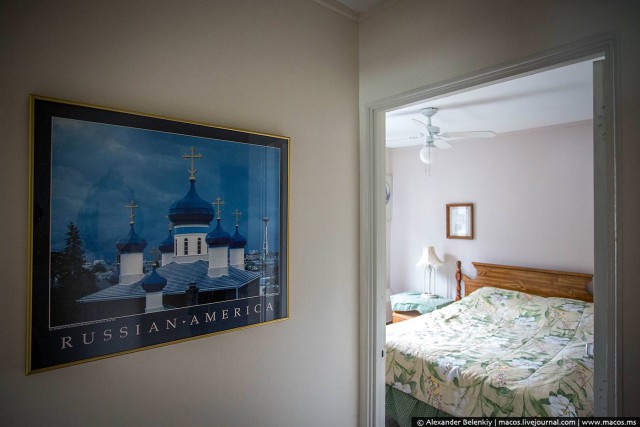 Суровая женщина с оленем в суровом городе Америки