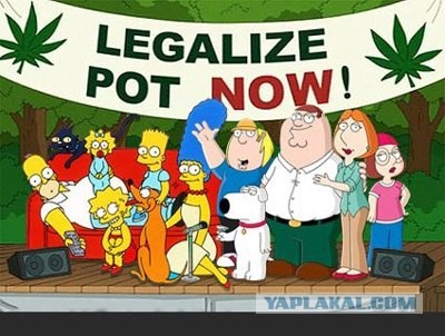 В США разрешили выращивать коноплю