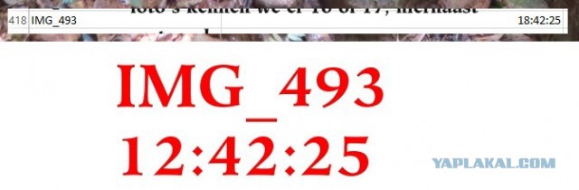 Исчезновение и трагическая гибель Лисанн Фрон и Крис Кремерс