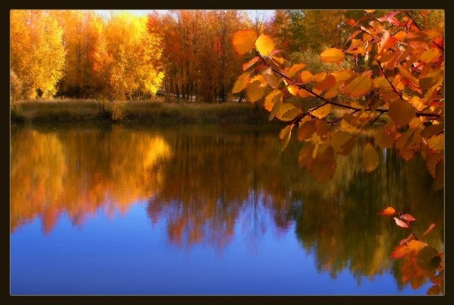 Осень