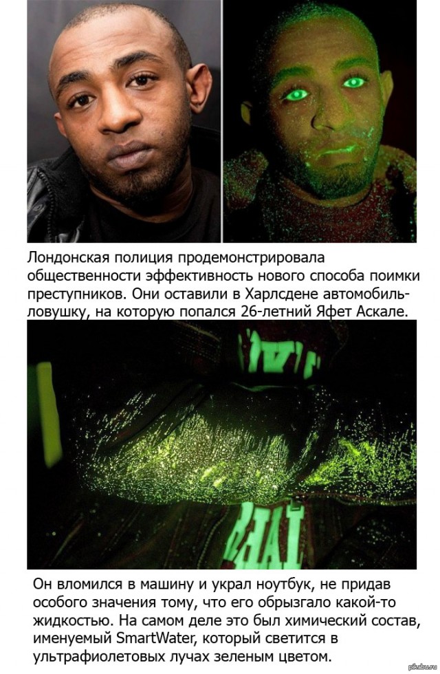 Усмирение горилы в Балтиморе.