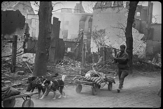 Неизвестные фотографии конца Великой Отечественной